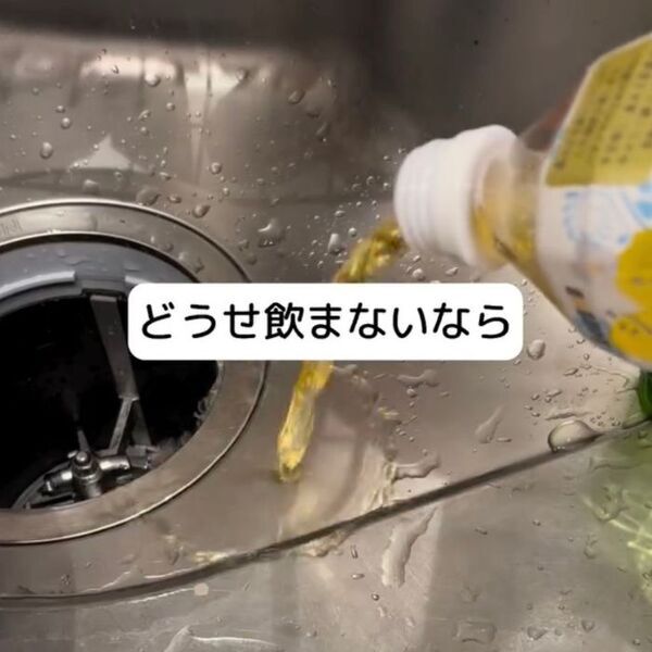 洗面所の髪の毛は放置厳禁　知られざるゴキブリの習性と撃退法