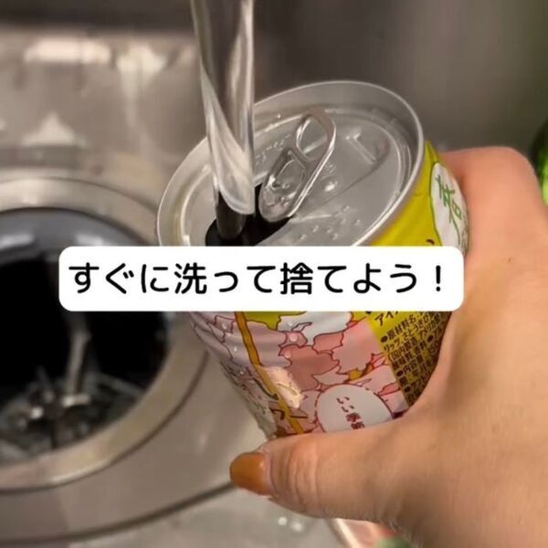 洗面所の髪の毛は放置厳禁　知られざるゴキブリの習性と撃退法