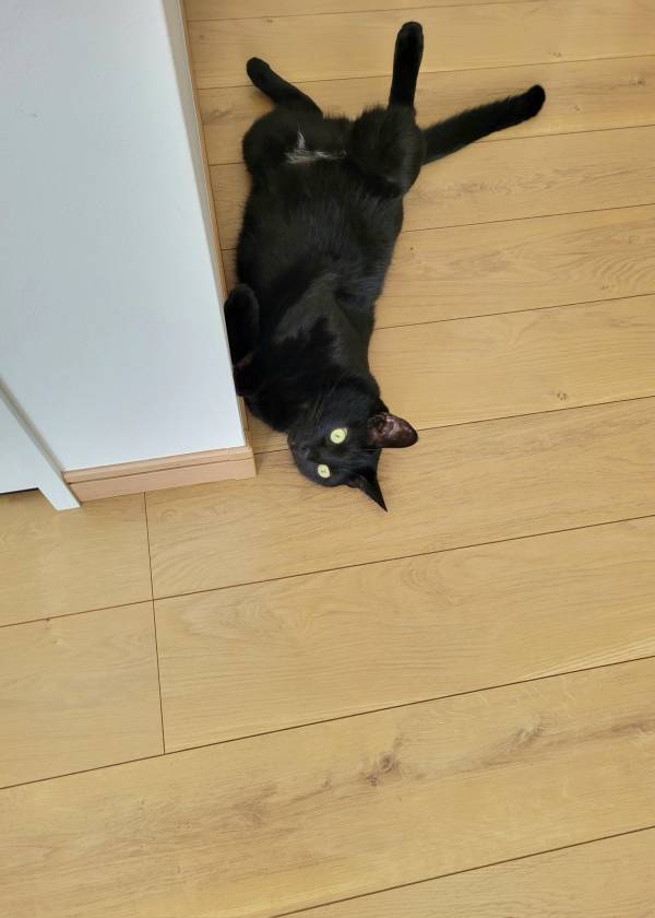 天使のような赤ちゃん、しかし背後には…　「お分かりいただけただろうか」