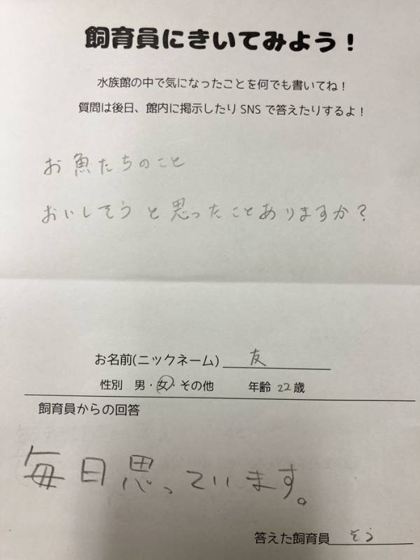 「おいしそうと思ったことはある？」　館長の『正直な返答』に「迷いがなくて好き」