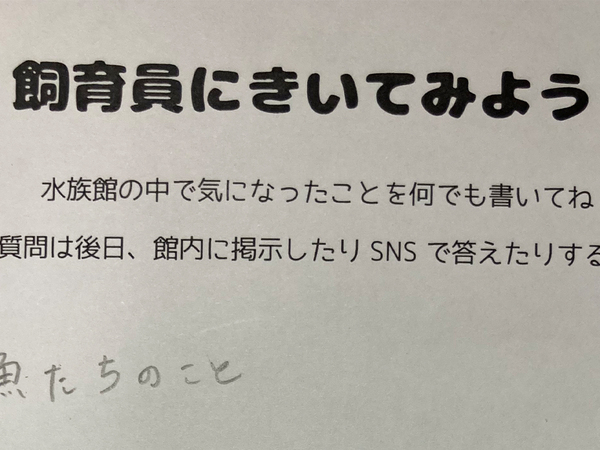 「おいしそうと思ったことはある？」　館長の『正直な返答』に「迷いがなくて好き」
