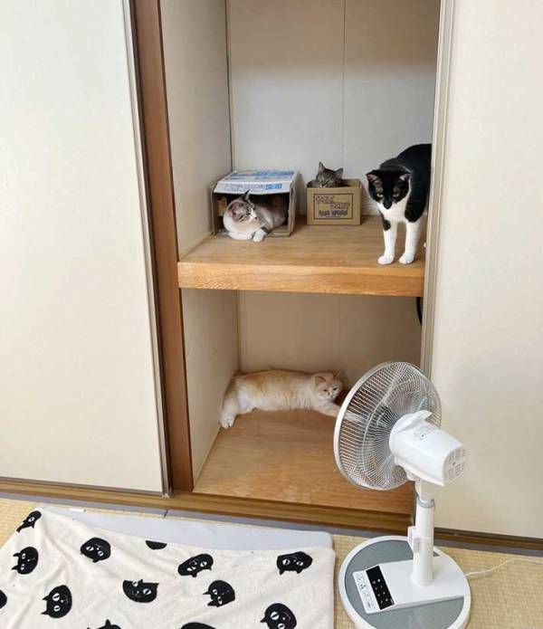 母親「扇風機つけてね」　その後、息子の部屋をのぞくと？「優しさの塊」「尊い」