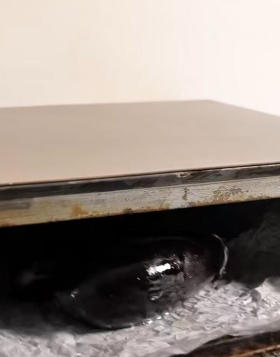 ナスを切って焼いただけで？　仕上がりに「絶品」「やってみる」