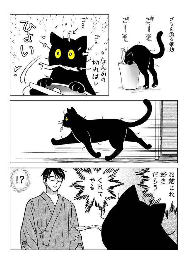 ゴミ箱をあさって遊ぶ猫　飼い主がした『対策』が…「この発想はなかった」「採用！」
