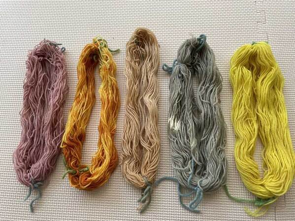 瓶を太陽に当てて…　『自由研究』の結果発表に「最強すぎる」「きれい！」