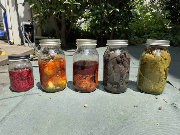 瓶を太陽に当てて…　『自由研究』の結果発表に「最強すぎる」「きれい！」