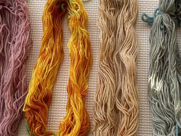 瓶を太陽に当てて…　『自由研究』の結果発表に「最強すぎる」「きれい！」