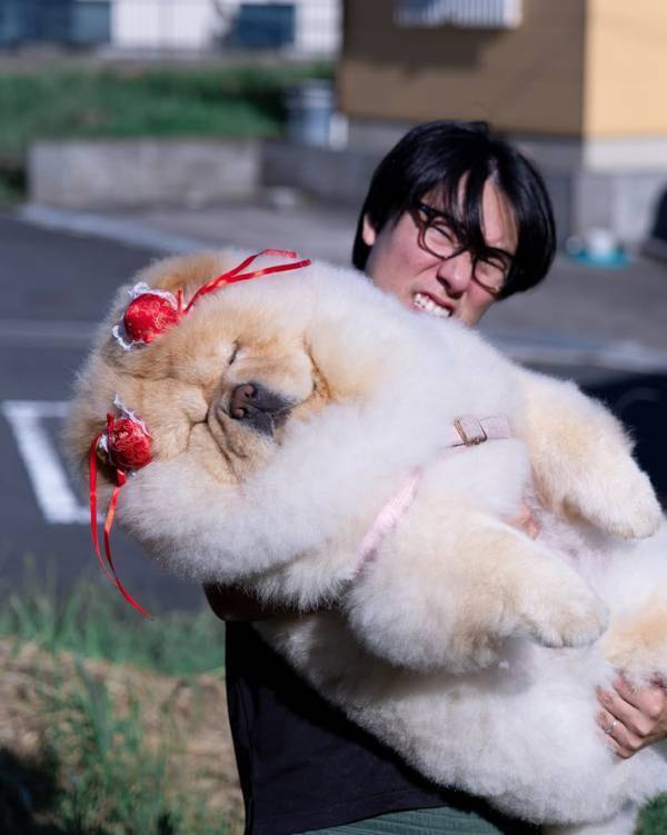 飼い主を信頼しきっている犬　見たら爆笑な1枚に「一生忘れたくない光景」