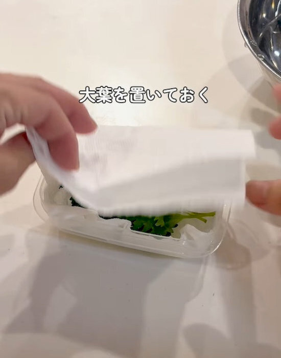 「しなしなで捨ててた…」　大葉の保存法に「もっと早く知りたかった」「毎回やる」