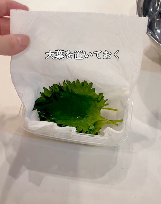 「しなしなで捨ててた…」　大葉の保存法に「もっと早く知りたかった」「毎回やる」