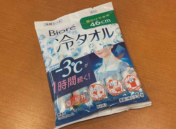 「なかったら終わりです」　夏フェス常連客が助かったアイテム5選が？