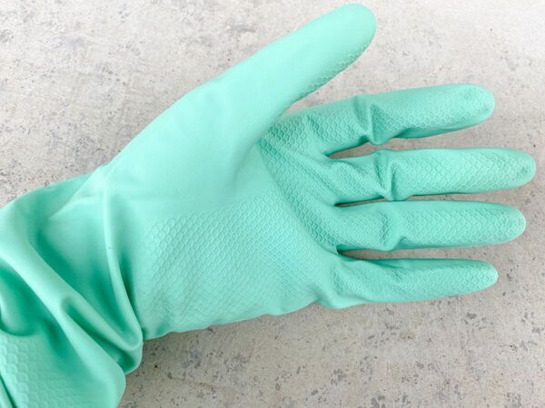 ゴキブリの卵、どこにあるか知ってる？　見つけた時の対策方法に「早速やる」