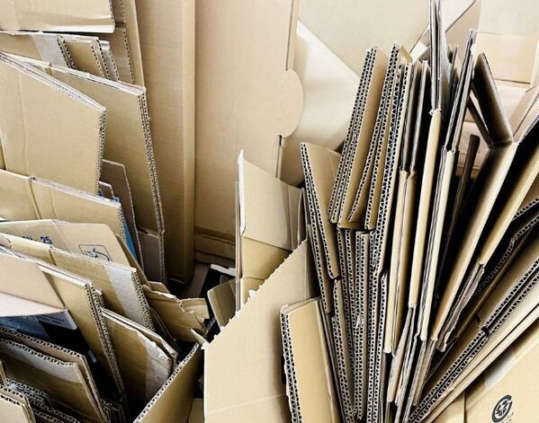 ゴキブリの卵、どこにあるか知ってる？　見つけた時の対策方法に「早速やる」