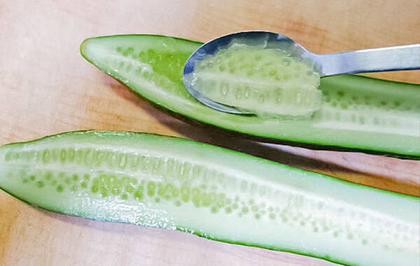 「メロン味…？」　母の手作りシャーベットに、食べた子供がビックリ！