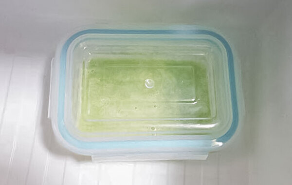 「メロン味…？」　母の手作りシャーベットに、食べた子供がビックリ！