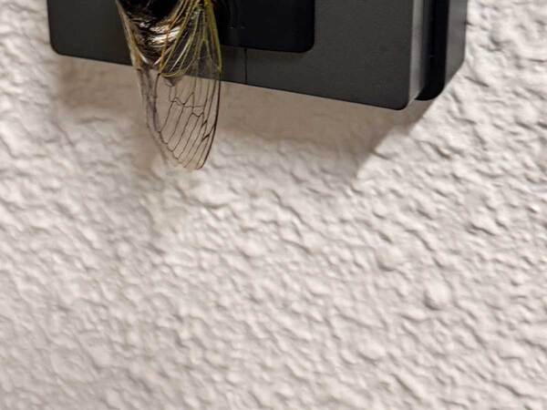 「これは仕方がない」「無理だな」　配達員が困った理由にネット同情