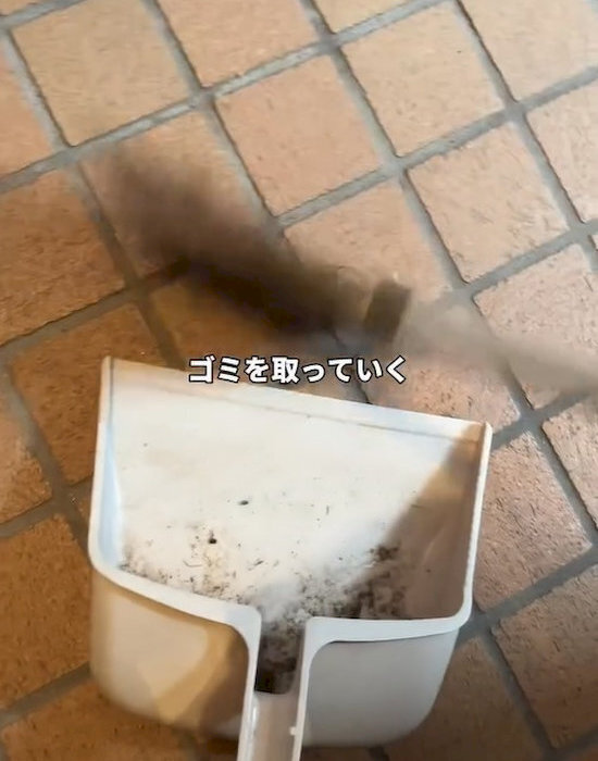 玄関に水を流してない？　注意喚起に「やってたかも」「反省した」