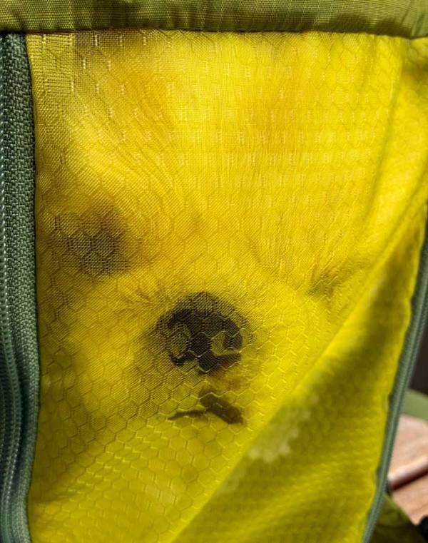 犬「あのぅ、出してもらえませんか？」　犬用バッグでご立腹な犬に「吹き出した」