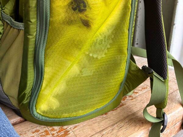 犬「あのぅ、出してもらえませんか？」　犬用バッグでご立腹な犬に「吹き出した」