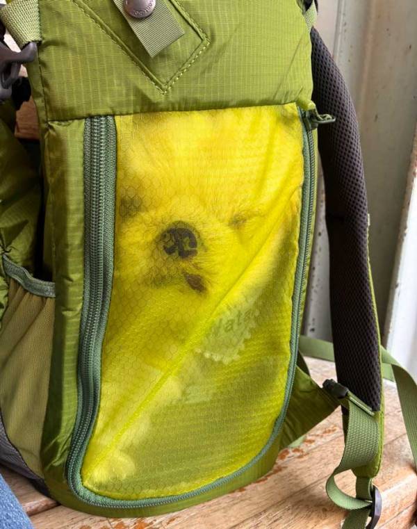 犬「あのぅ、出してもらえませんか？」　犬用バッグでご立腹な犬に「吹き出した」