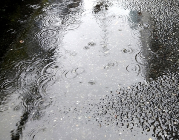 玄関灯に集まるユスリカをどうにかしたい！　企業が教える2つの対策に「なるほど」