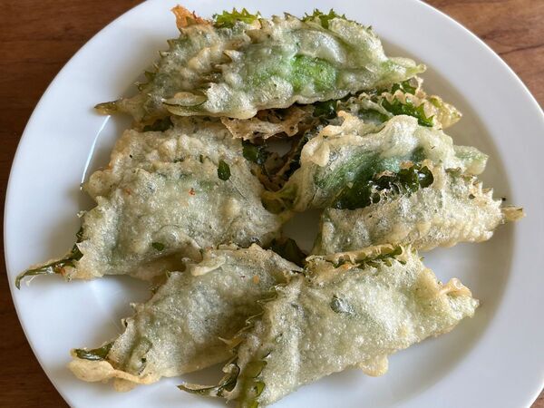 大葉のクリームチーズ揚げに「サクサク香ばしい」「とろける幸せ」