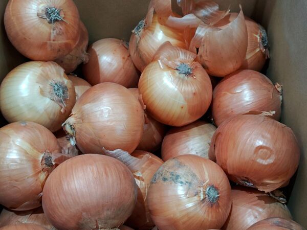 「炒めるの面倒だった…」　あめ色タマネギを時短で作る裏技に「助かる」「もう戻れない」【4選】