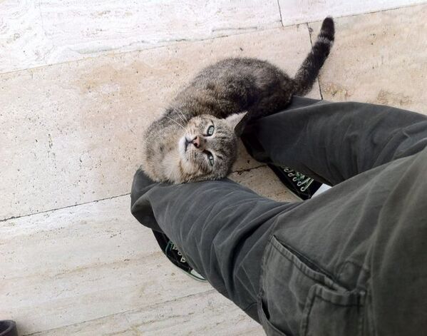 「車道に飛び出した女性」　理由を知って「胸が熱くなる」「涙が出た」【4選】