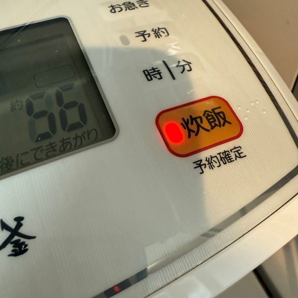 ナスを炊飯器に入れて炊くだけ？　仕上がりに「ふわとろ最高」「リピート確定」