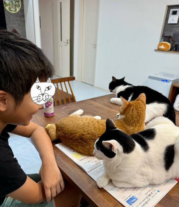 「笑った」「この写真を見せて、先生に説明しよう！」　夏休みの宿題が終わらなさそうなワケが…