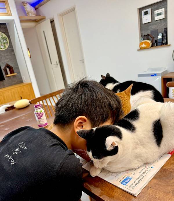 「笑った」「この写真を見せて、先生に説明しよう！」　夏休みの宿題が終わらなさそうなワケが…