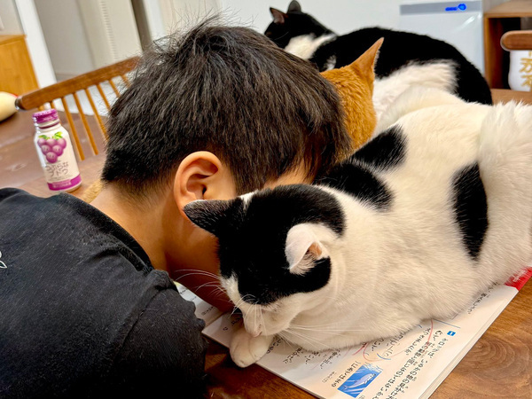 「笑った」「この写真を見せて、先生に説明しよう！」　夏休みの宿題が終わらなさそうなワケが…