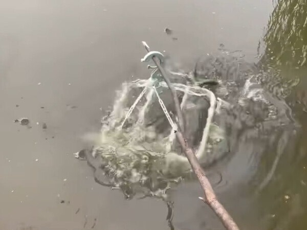 「どんなエサを使った？」　女性の大胆すぎる『釣り』に「頭いい」「最高」