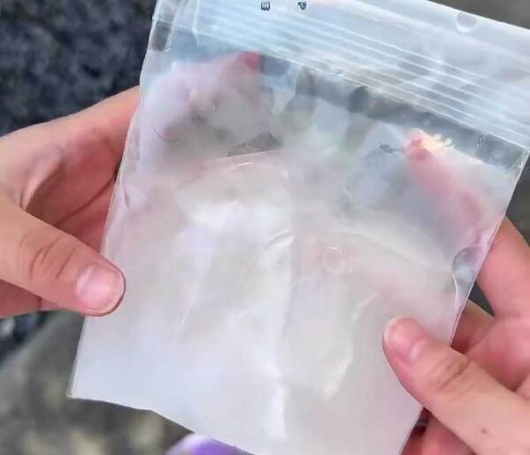 袋に入っていたのは？　『冷却パック』の作り方に「自由研究にする」「すごい！」