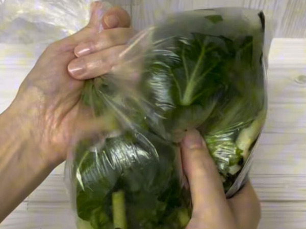 小松菜を切って冷凍するだけ？　ゆでないおひたしに「便利」「毎日食べたい」