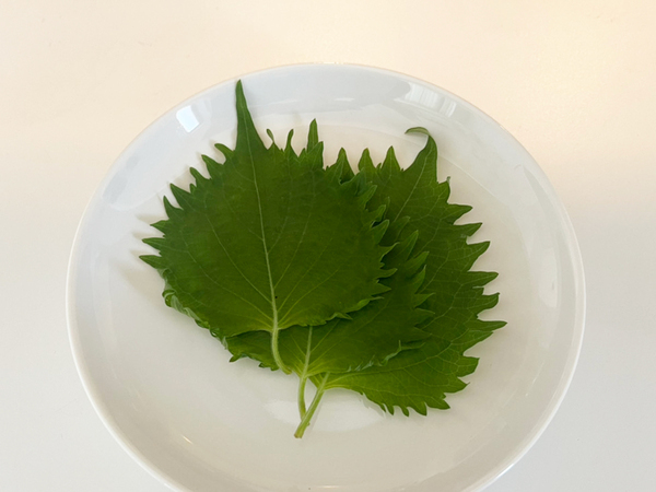 ひき肉を使わず豚肉で！ エバラが提案する『餃子レシピ』が簡単【大葉がアクセント】