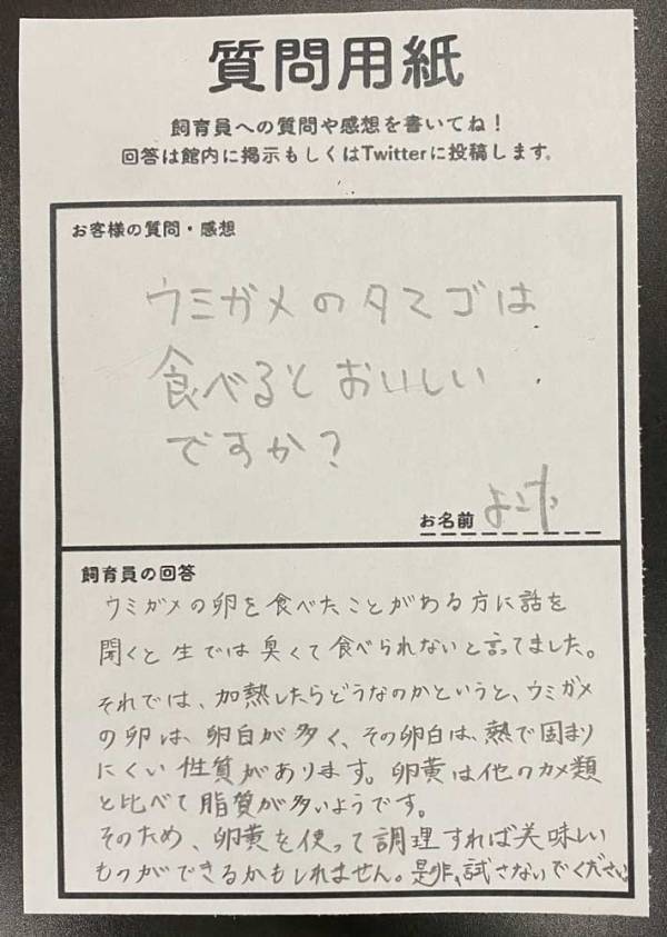 「ウミガメの卵は食べられる？」　保護施設の回答に「タメになった」「最後の一文に吹いた」