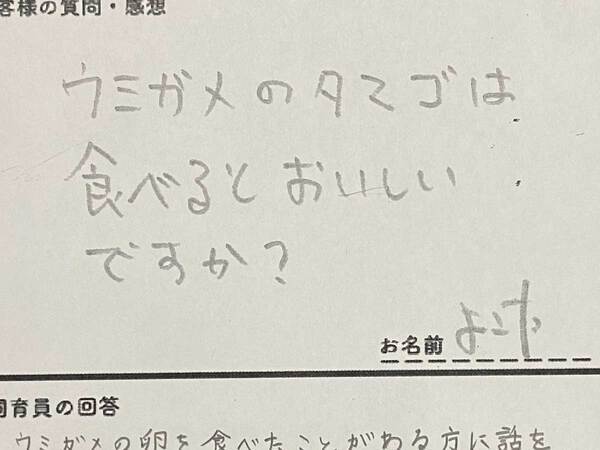 「ウミガメの卵は食べられる？」　保護施設の回答に「タメになった」「最後の一文に吹いた」