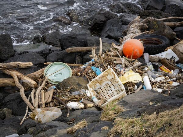 防波堤に流れ着いた手紙　送り主は河童？　内容に「胸に刺さる」「意外すぎ」【4選】