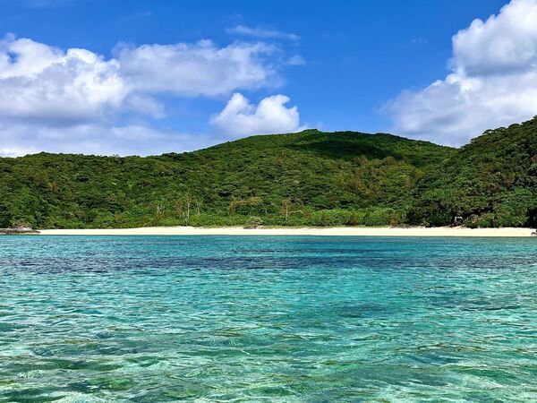 「これが日本の海？」　柏島で撮られた１枚に「ずっと眺めていたい」「非日常」【4選】