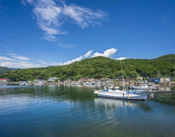 「これが日本の海？」　柏島で撮られた１枚に「ずっと眺めていたい」「非日常」【4選】