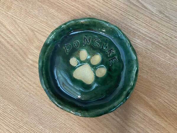 犬「何をされているんだ」　山中湖での思い出に「お茶吹いた」の声！【表情】