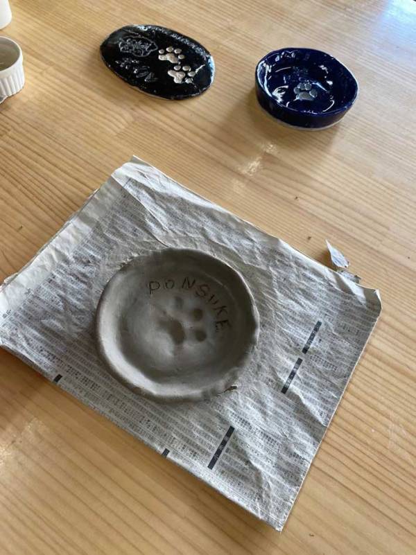 犬「何をされているんだ」　山中湖での思い出に「お茶吹いた」の声！【表情】