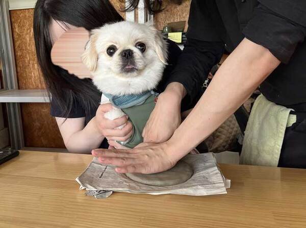 犬「何をされているんだ」　山中湖での思い出に「お茶吹いた」の声！【表情】