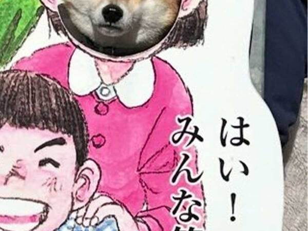 顔はめパネルで記念撮影した柴犬　ギャップのある表情に「ジワジワくる」「分かるよ…」