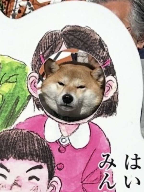 顔はめパネルで記念撮影した柴犬　ギャップのある表情に「ジワジワくる」「分かるよ…」