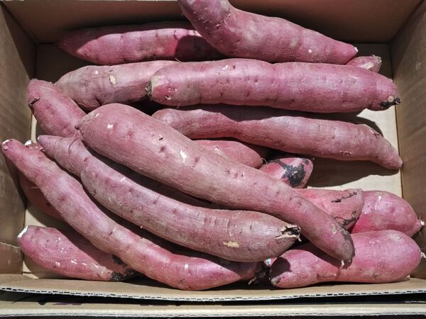 「甘くないサツマイモでも大丈夫？」　絶品スイーツに「天才」「作りたい」【4選】