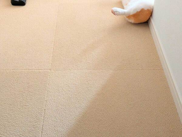 「クリームパンに脚が生えている」「最高の出迎え」　飼い主を出迎えたコーギーの姿に反響