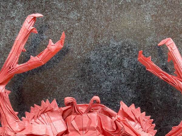 「こだわりは裏側の作り込み」　今にも動き出しそうな『カニ』の正体は…