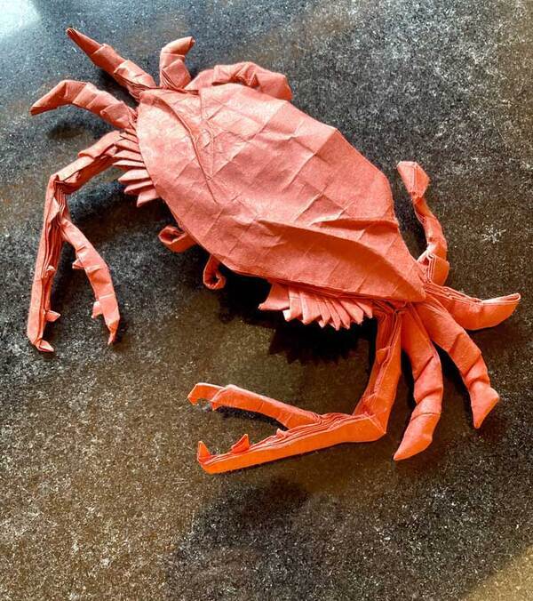 「こだわりは裏側の作り込み」　今にも動き出しそうな『カニ』の正体は…